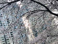 -西北湖绿化广场