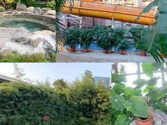 -中家鑫园温泉酒店鑫悦汤泉