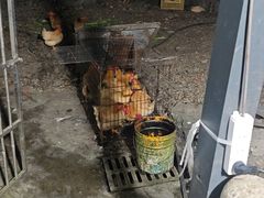 -途中饭店(开化店)