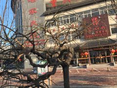 -咱家大院海鲜家常菜