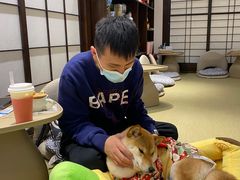 -逗柴咖啡屋·狗咖猫咖宠物桌游