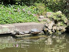 -宁波市保国寺古建筑博物馆