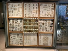 -墨尔本博物馆(Melbourne Museum)