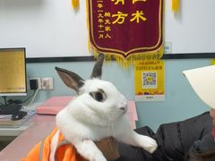 -嘉馨宠物医院·CT影像转诊·心脏科·犬猫全科诊疗中心(下沙大学城院区)