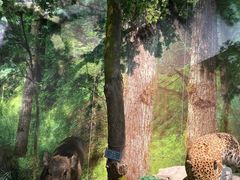 -重庆中国三峡博物馆(重庆博物馆)