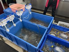 -象山小白象海鲜面