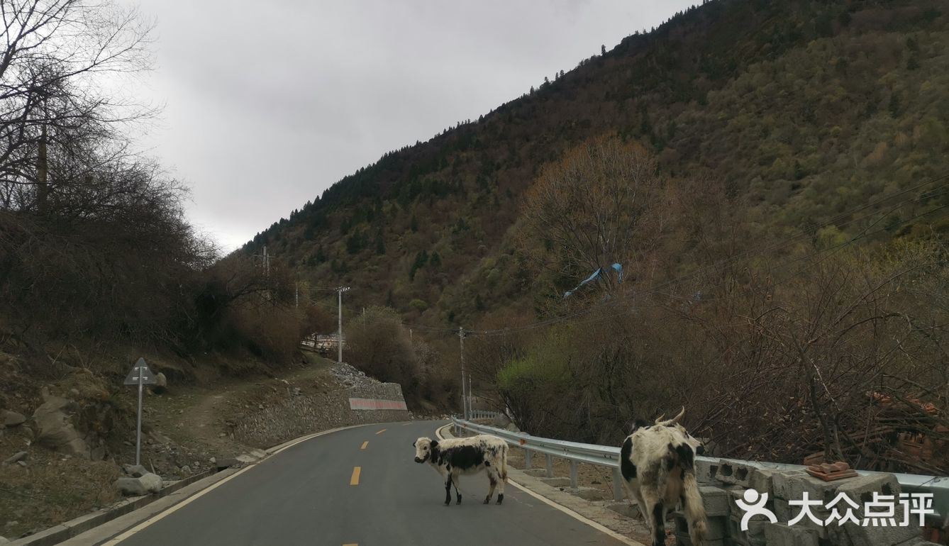 空山幽谷不羨仙