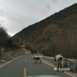 空山幽谷不羨仙