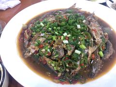 -全乐鱼馆·淳牌有机鱼直营店