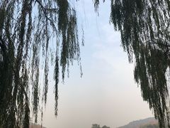 -西湖外事游船(花港观鱼码头)