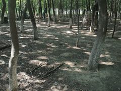 -亲兄弟真人CS团建拓展基地