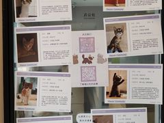 -Punchline Coffee&Roaster(同济大学店)
