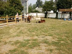 -红栌温泉山庄生态美食餐厅