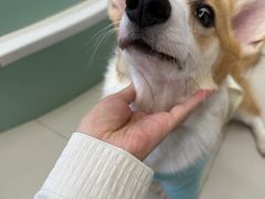 -怪兽屋·羊驼·猫咖·狗咖(俊华广场店)