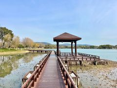 -尚湖风景区
