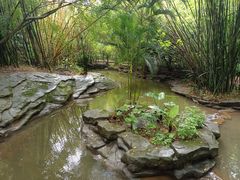 -大屏嶂森林公园