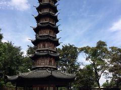 iphone_upload_pic-上海佘山国家森林公园西佘山园