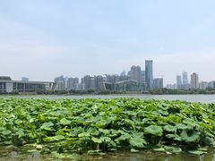 -月湖风景区