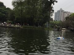 -晓港公园