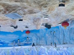 -海合安青岛极地海洋公园