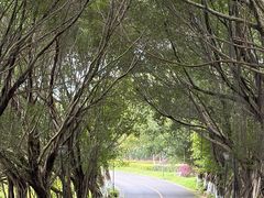 -张坝桂圆林公园