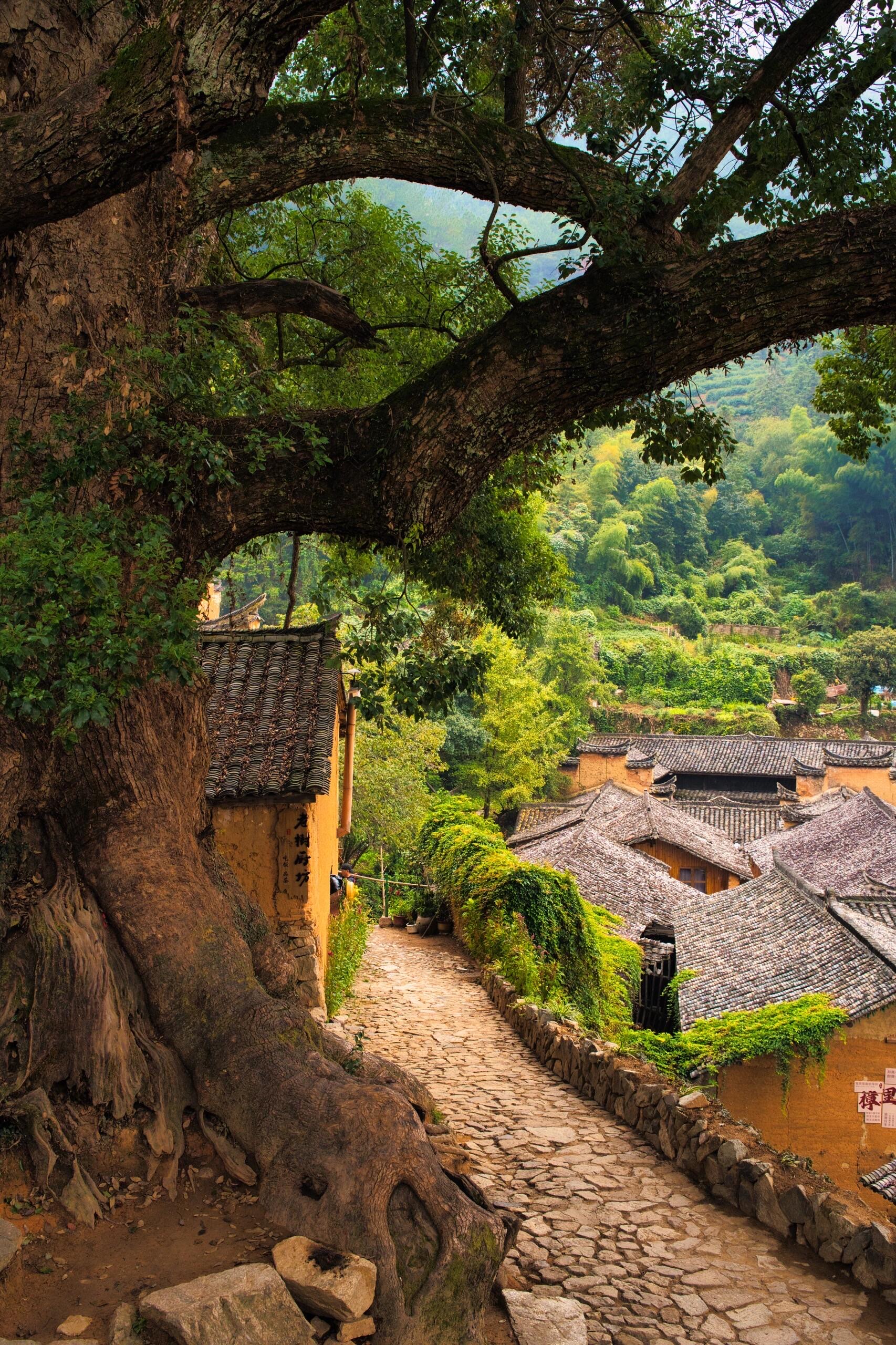 松阳最美古村落排名图片