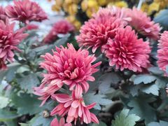 -共青国家森林公园-售票处