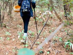 -铁山坪森林公园