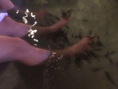 -碧水湾温泉