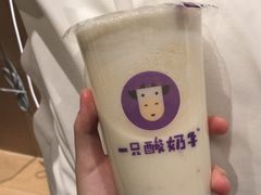-一只酸奶牛(奎星楼店)