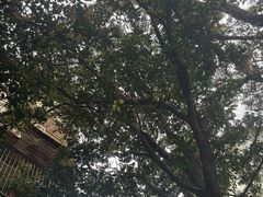 -微饮cafe