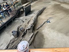 -金沙遗址博物馆