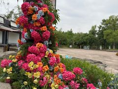 -梁鸿国家湿地公园