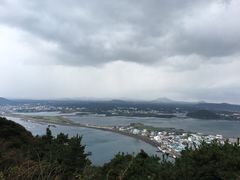 俯视-济州岛泰迪熊博物馆