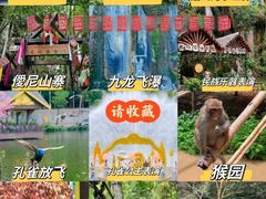 -西双版纳原始森林公园