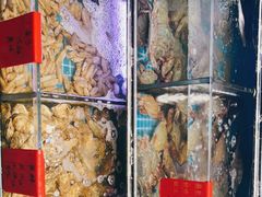 -金海湾海鲜排档(朱家尖店)