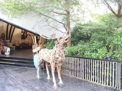 -南沙水鸟世界生态园