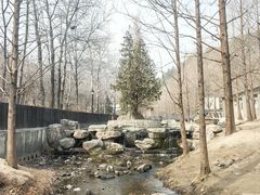 -白水寺森林公园