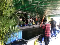 -会江钓鱼钓虾烧烤场