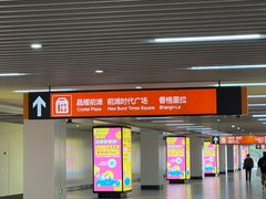 -东方体育中心(地铁站)