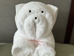 -新加坡瑞士史丹福酒店