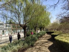 -元大都城垣遗址公园