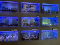 -映像威海·威海宴(威高广场店)