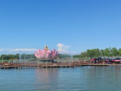 -白洋淀风景区