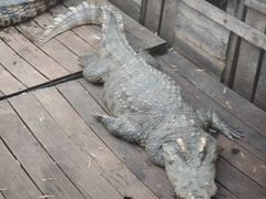 -洞里萨湖