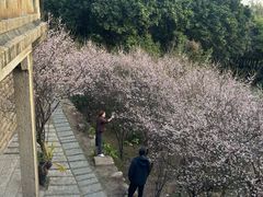 -草庵摩尼教遗址公园