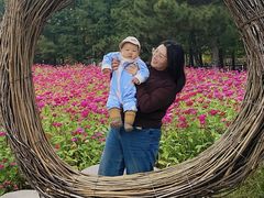 -羊亭河湿地公园