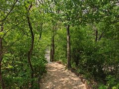 -棋盘山风景区