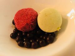 -蝶舍·MAISON PAPILLON