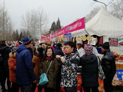 -朝阳公园游乐园